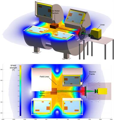 Skin Dose Modeling and Measurement in a High Field In-Line MRI-Linac System